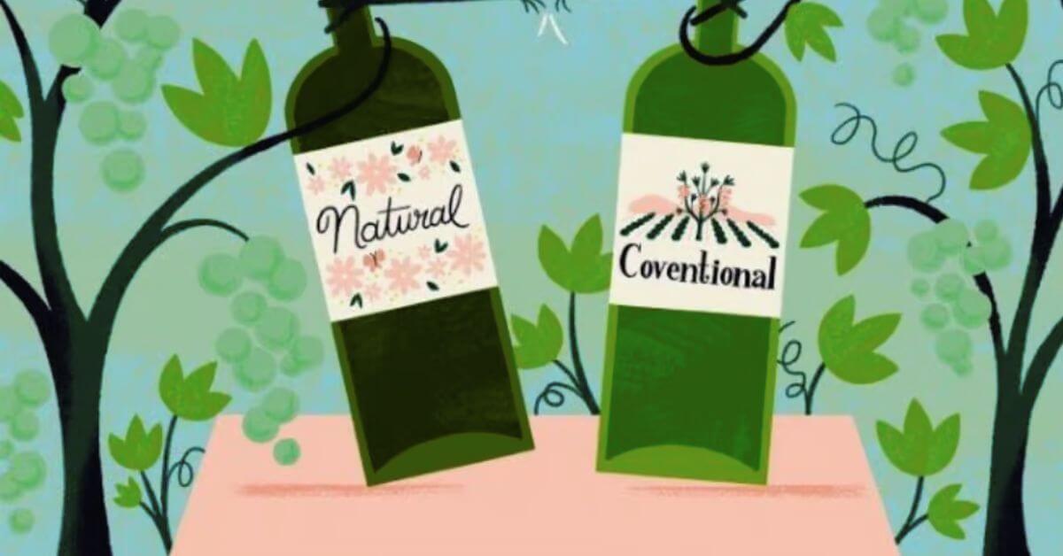 Kako pravilno sumporisati vino 1 Može-li-vino-bez-sulfita