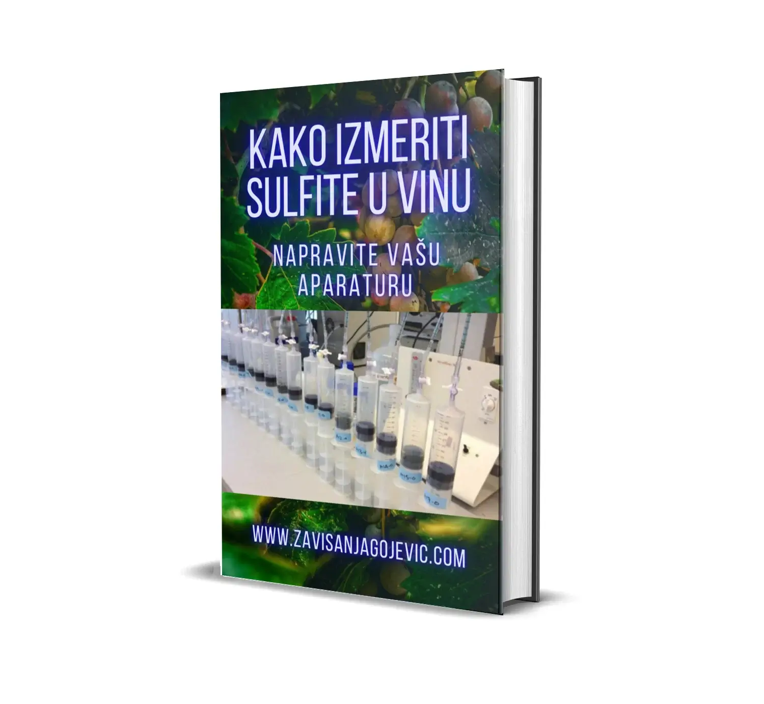 Kalkulator sulfita 1 E-book image.webp