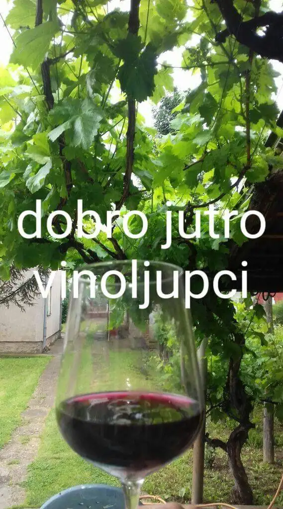 Naslovna 3 dobro vinoljupci-image.jpg