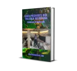 KAKO PREDVIDETI ROK TRAJANJA BELOG VINA 2 e-book