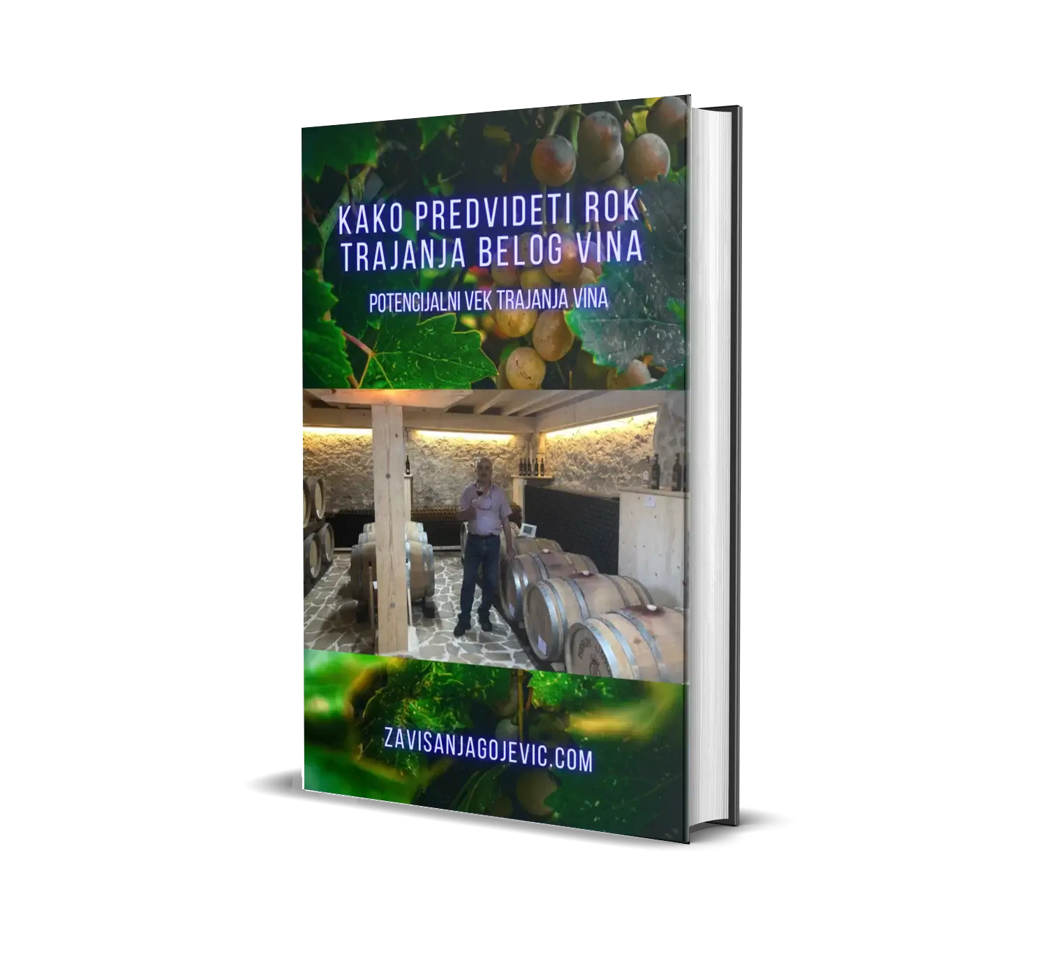 KAKO PREDVIDETI ROK TRAJANJA BELOG VINA 1 e-book