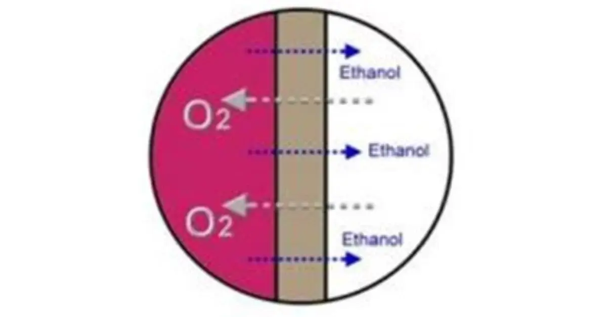 Blog 14 Kako funkcionisu vinska burad i bacve