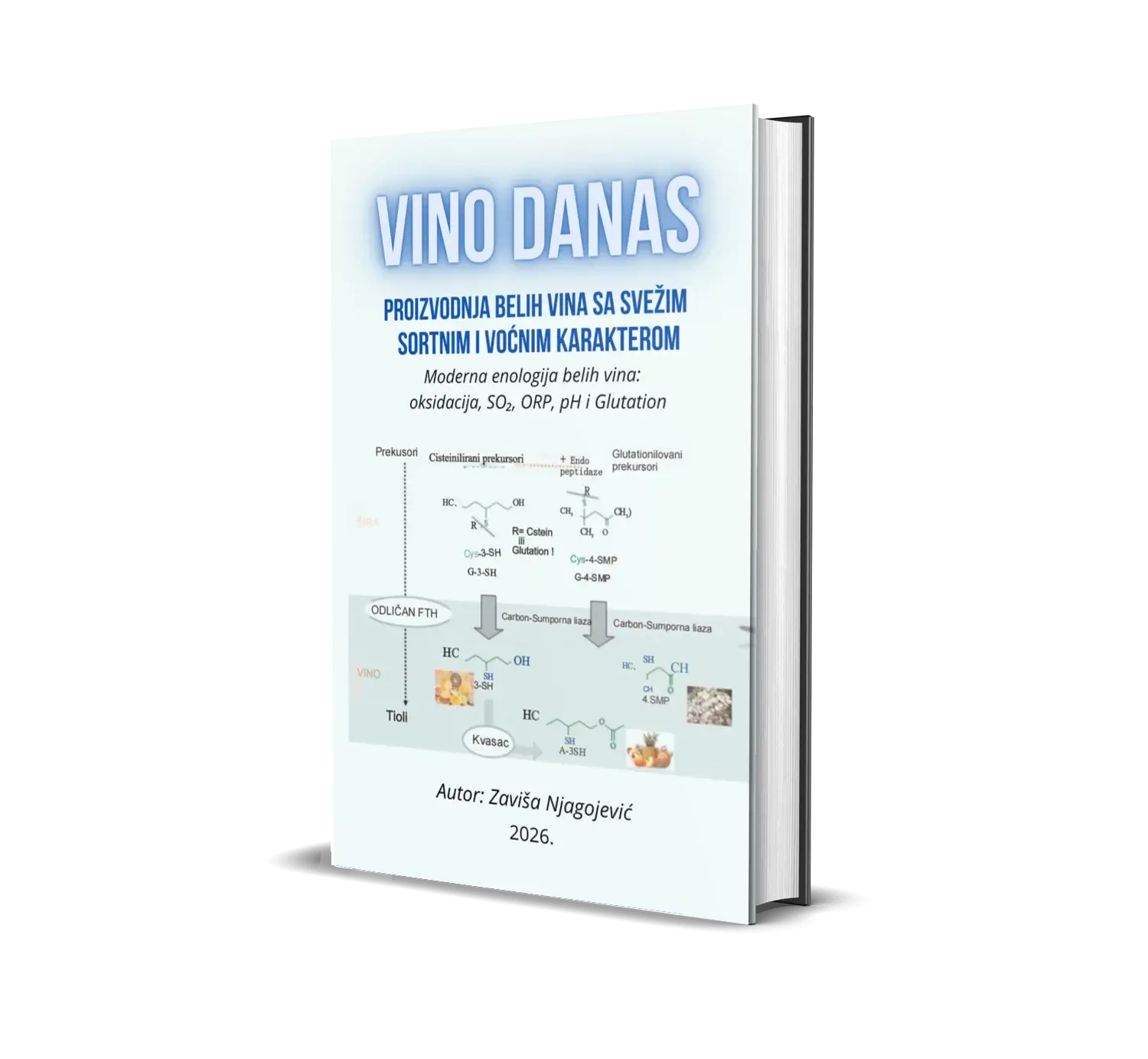 Kako napraviti belo vino sa svežim voćnim karakterom 2 E-book-VINO-DANAS-2.png